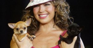Rata, el chihuahua de Thalía (Instagram)