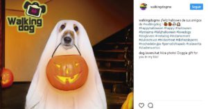 Fantasma (@walkingdogmx)