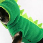 Disfraz de dinosaurio para perro de Etsy