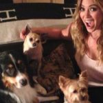 Lola, la chihuahua de Hilary Duff (Instagram)
