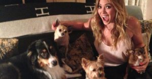 Lola, la chihuahua de Hilary Duff (Instagram)