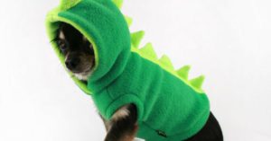 Disfraz de dinosaurio para perro de Etsy
