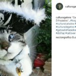 Pirata (Instagram @culturagatera)