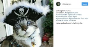 Pirata (Instagram @culturagatera)