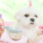 Lava sus juguetes con regularidad (Istock)