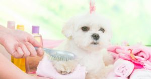 Lava sus juguetes con regularidad (Istock)