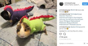 Gozilla (@animalpantryozp)