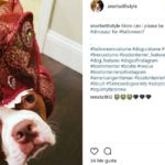 Dinosaurio (Instagram @snortwithstyle)