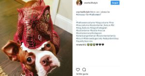 Dinosaurio (Instagram @snortwithstyle)