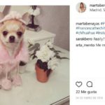Princesa (Instagram @martabenayas)