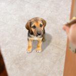 Mantén sus cosas en el mismo sitio (Istock)