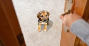 Mantén sus cosas en el mismo sitio (Istock)