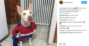 Superman (@craviotoelena)