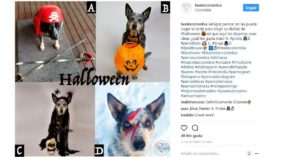 Variados (Instagram @heelercolombia)