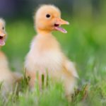 8. ¿Estarán hablando? (Istock)