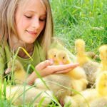 9. ¡Pura ternura! (Istock)