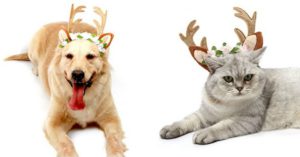 5. Diadema de cuernos de reno para perro y gato de Amazon