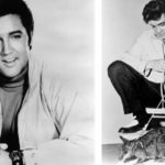 Elvis Presley tenía un canguro (Gtresonline)