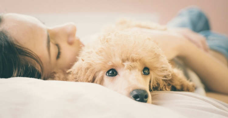 Tu mascota te lo agradecerá (Istock)