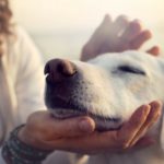 La paciencia (Istock)