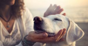 La paciencia (Istock)