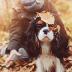 No avergonzarnos de mostrar nuestros sentimientos (Istock)