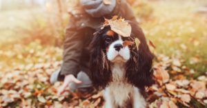 No avergonzarnos de mostrar nuestros sentimientos (Istock)