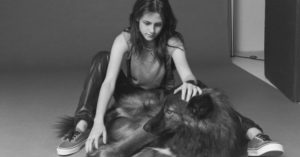 Kristen Stewart tiene un lobo llamado Jack (Instagram)