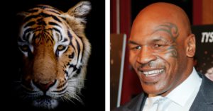 Mike Tyson y su amor por los tigres de Bengala (Istock/Gtresonline)