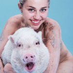 Miley Cyrus adora a su cerdita Bubba Sue (Instagram)