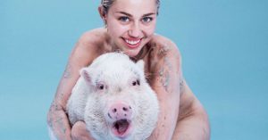 Miley Cyrus adora a su cerdita Bubba Sue (Instagram)