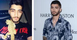 El cantante Zayn se divierte con su lagarto Arnie (Instagram/Gtresonline)