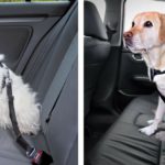 Arnés de sujeción para coche Trixie