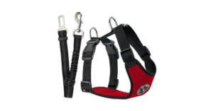 Arnés multifunción de SlowTon