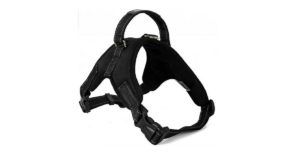 Arnés para perro pequeño acolchado, reflectante y ajustable de Treat Me