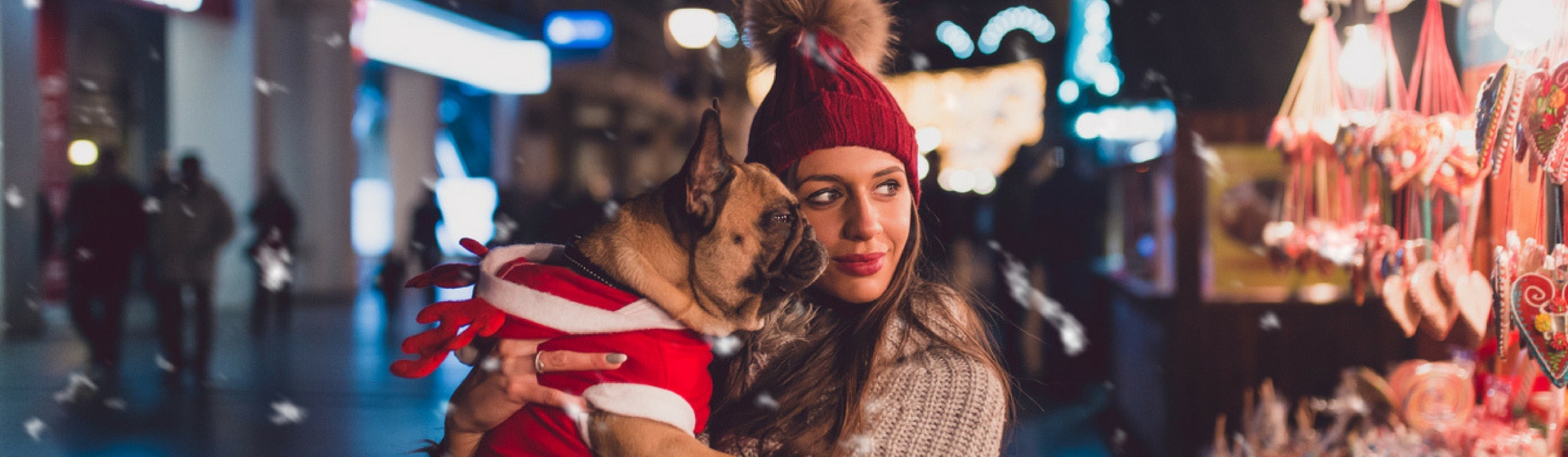 Las ciudades más navideñas a las que ir con tu mascota (Istock)