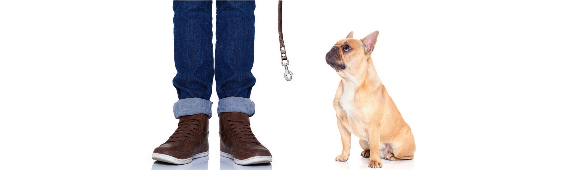 10 gestos que indican que tu perro está enfadado contigo (Istock)