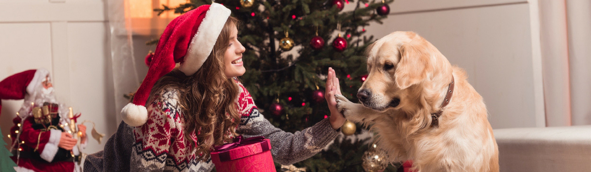 Decoración navideña que puede dañar a tu mascota (Istock)