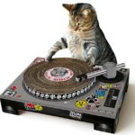 Rascador para gatos de Curiosite