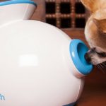 Lanzador de pelotas automático para perros pequeños de iFetch