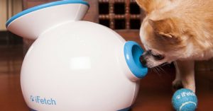 Lanzador de pelotas automático para perros pequeños de iFetch