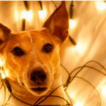 5. Las luces (Istock)