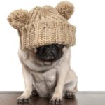 7. La alimentación es fundamental (Istock)