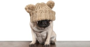 7. La alimentación es fundamental (Istock)