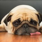 Notas que está decaído y melancólico (Istock)