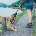 Intenta morderte (Istock)