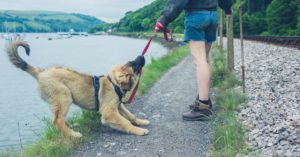 Intenta morderte (Istock)