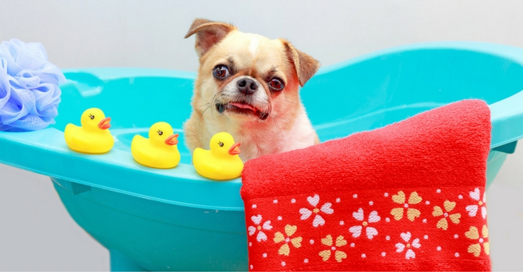 Con unos sencillos trucos todo será más fácil (Istock)
