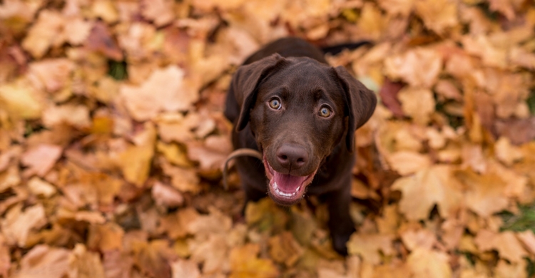 Ante todo, originalidad (Istock)