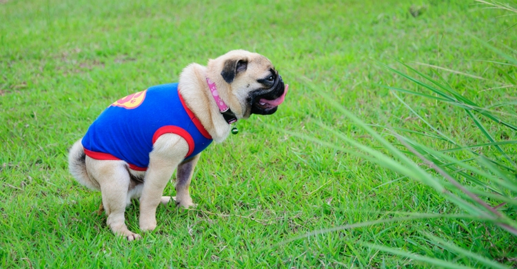 Una ayuda que nunca viene mal (Istock)